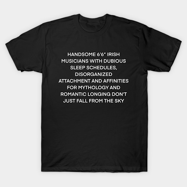 Hoziers don’t just fall out of the sky( white type) T-Shirt by kimstheworst